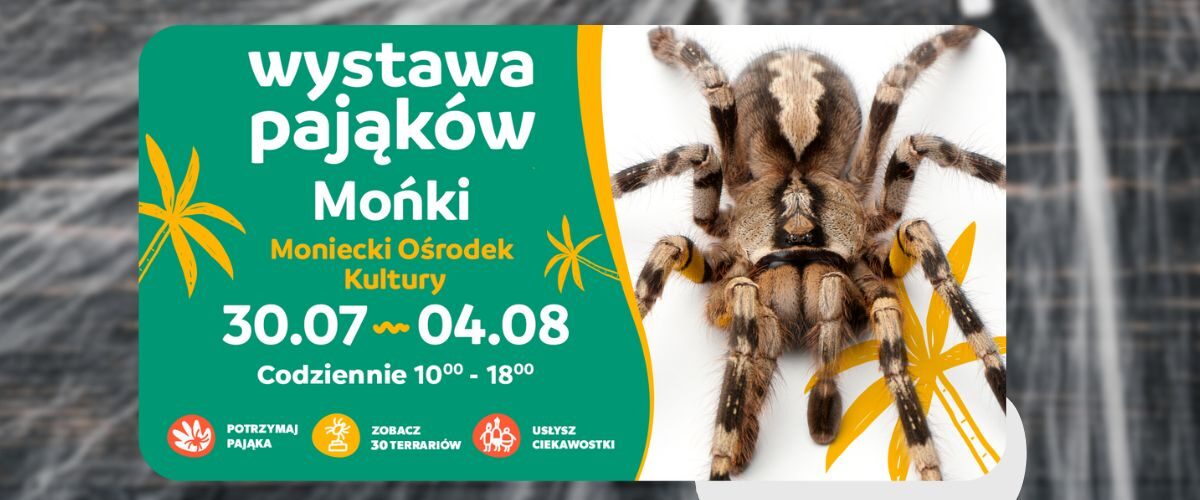 Wystawa Pająków w Monieckim Ośrodku Kultury