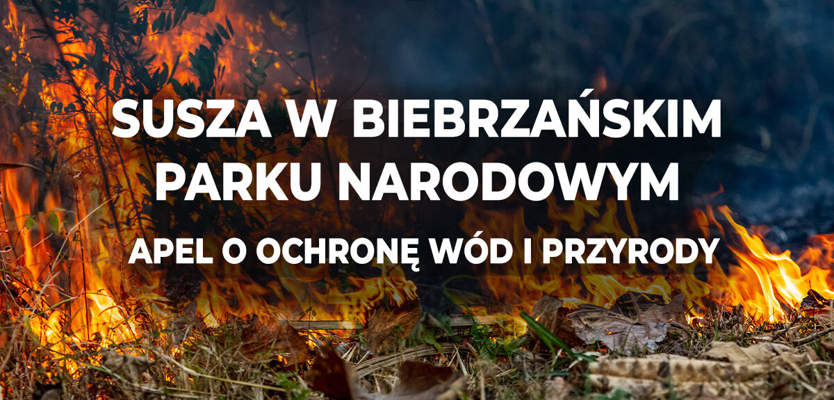 Susza w Biebrzańskim Parku Narodowym